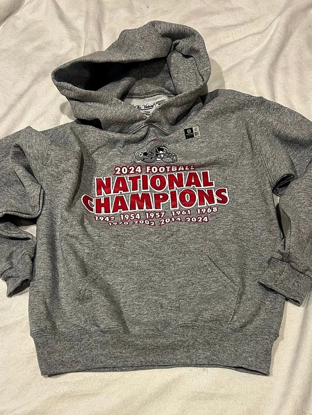 Ohio State Buckeyes 2024 Football National Champions youth medium Hoodie in Gray